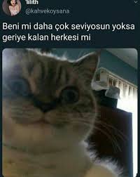 Xxebruxx Adli Kullanicinin Komik Seyler Panosundaki Pin 2020 Komik Capsler Komik Seyler Komik
