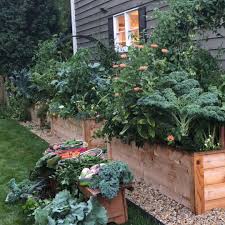make your raised garden bed goals happen with the kitchen garden academy video in 2020 raised garden beds raised garden backyard landscaping