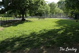 Maybe you would like to learn more about one of these? South London Fully Enclosed Dog Parks The Ultimate Guide The Londog