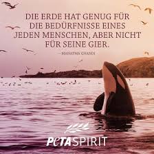 Unfortunately, peta stopped shooting scenes somewhere during late 2016 and early 2017. Peta Spirit