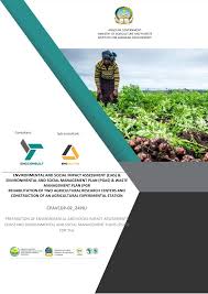 Image result for Chamaeclitandra henriquesiana