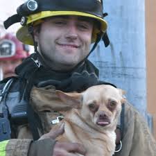 Fundraiser for Marcy Noelte by Cori V : PineKnot Fire Victims