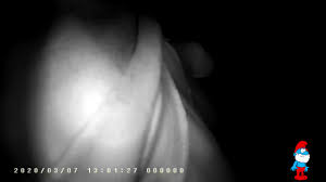 Encoxada Night VisionConcert GropingHidden Cam Horny Nudes - Intriguing Encoxada Scenes