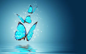 Blue Butterfly Wallpaper 75 Pictures Butterfly euclidean, pink butterfly, pink butterfly, purple, leaf png. blue butterfly wallpaper 75 pictures