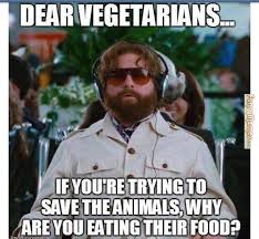 Image result for funny memes