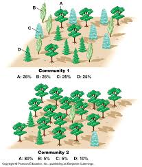 How Is Biodiversity Measured Example