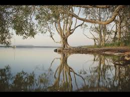 Bring your boat, kayak, canoe or paddleboat, or just sit back and relax by the fire. Boreen Point Campground 2021 Reviews Photos Of Campground Tripadvisor