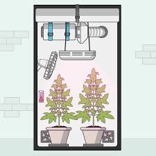 Check spelling or type a new query. Best Way To Grow Weed Indoors Kiss Keep It Simple Stupid Grow Light Info