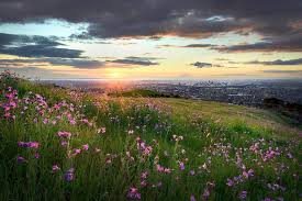 Stunning Views Over Adelaide From The Mt Osmond Reserve Just 20 Minutes Drive From The Adelaide Cbd Landscape Natural Landmarks Australia