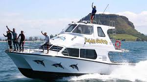 Dolphin Seafaris Tauranga Epic Deals And Last Minute Discounts