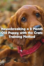 Housebreaking A 6 Month Old Puppy With The Crate Training Method Puppy Training Tips Puppy Training Pitbull Puppy