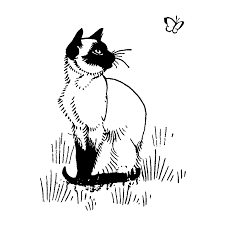 Black And White Siamese Cat Drawing Happy Siamese 269g Cat Character Cat Drawing Siamese