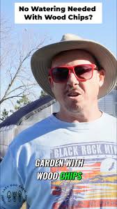 greens #collards #coldtolerant #coldhardy #nutrition #powerhouse #gardentips