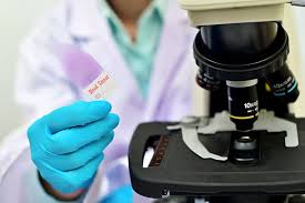 10+ Wright Stain Photos Stock Photos, Pictures & Royalty-Free Images - iStock