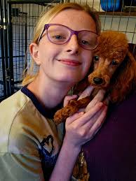 Toy male. 12 weeks. AKC located Kansas City