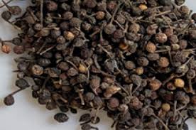 Image result for Piper guineense