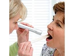 Rosemarie Neumann's Instagram, Twitter & Facebook