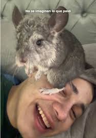 El amor más genuino que existe ❤️‍🩹🥰 #animalestiernos #❤️‍ #amor #f...