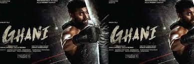 We did not find results for: Ghani Movie Cast Release Date Trailer Posters Reviews News Photos Videos Moviekoop