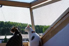 Dachfenster Katzen Losung Roof Window Cat Solution Dachfenster Katze Balkon Katzen