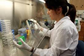 Image result for spasticity research stem cell images