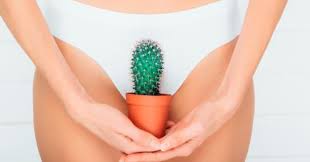 Granos En Tu Zona Genital Por Que Aparecen Diario Libre