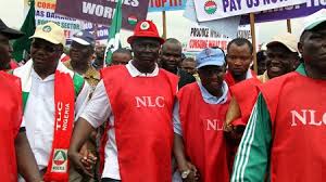 Image result for Oyo polytechnic workers begin indefinite strike pictures