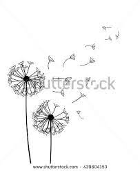 Dandelion Vector Dandelion Vector Isolated Decoration Meadow Fly Natural Blow Green Floral White Dandelion Blowing Dandelion Floral Illustrations