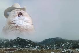 Wild west horse cowboy cat. Screaming Cowboy Cat Blank Template Imgflip