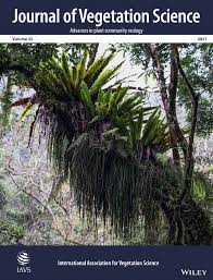 Image result for Cryptosepalum exfoliatum