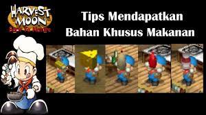 Tidak hanya beberapa resep saja, terdapat banyak resep harvest moon yang dapat anda gunakan untuk membuat sebuah makanan. Cara Mendapatkan Bahan Khusus Makanan Hmbtn Youtube