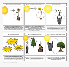 Do animals go through cellular respiration. Respiration Of Animals And Plants Benefit Each Other Hd Png Download Transparent Png Image Pngitem