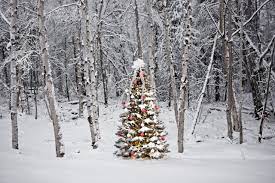 Check spelling or type a new query. What Happens To White Christmases As The World Warms Scientific American