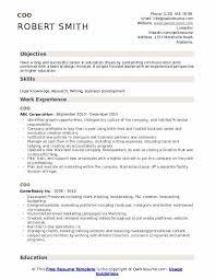 Prudence investment management (hong kong) limited; Coo Resume Samples Qwikresume