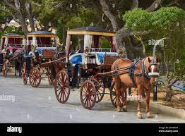 Victorian horse drawn carriage hi-res ...