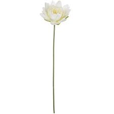 Where to buy lotus flowers chicago. Lotus Flower Home Decor Target