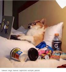 Krabs a taurus enters the world between april 20 and may 20 and can be quite determined… to the point of being stubborn. 19 Funny Tumblr Posts About Zodiac Signs