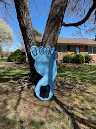 Tar Heel spirit shows in Rowan yard