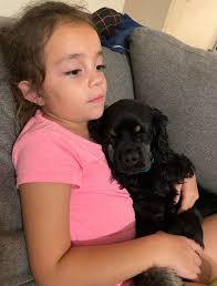 Very touching 🥹 Hope Wolf would find a sweet family