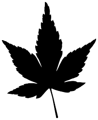 Graphics Rooweb Leaves Vector Graphic Japanese Maple