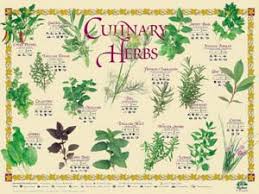 Five Essential Herbs In The Kitchen Delishably
