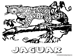 We did not find results for: Cute Jaguar Coloring Pages Novocom Top