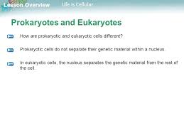 Cellular life is life with cells. Lesson Overview 7 1 Life Is Cellular Ppt Download