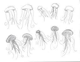 Learn how to draw the easy, ste. Orasnap Easy Pencil Drawing Easy Jellyfish Sketch