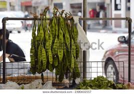 Image result for Crudia