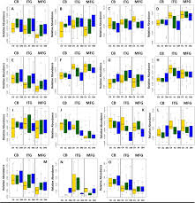 Neurotransmitter Imbalance In The Brain And Alzheimer S Pathology Biorxiv