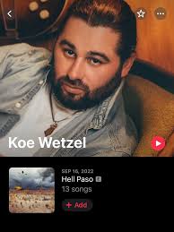 Zach Bryan Unique Voice in Country Music