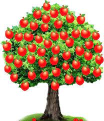 See more of 蘋果樹醫美診所 on facebook. è˜‹æžœæ¨¹ Home Facebook