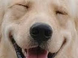 S l o w e d s o n g s. Dfghdfgh Youtube