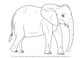 Check spelling or type a new query. Wild Animals Draw Yahoo Canada Image Search Results Animals Drawing Images Wild Animals Drawing Animal Drawings